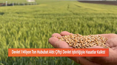 Devlet 1 Milyon Ton Hububat Aldı: Çiftçi Devlet İşbirliğiyle Hasatlar Kalktı!