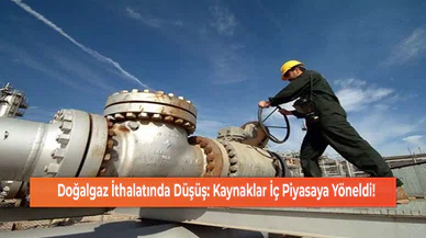 Doğalgaz İthalatında Düşüş: Kaynaklar İç Piyasaya Yöneldi!