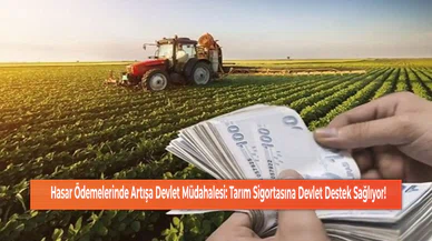 Hasar Ödemelerinde Artışa Devlet Müdahalesi: Tarım Sigortasına Devlet Destek Sağlıyor!
