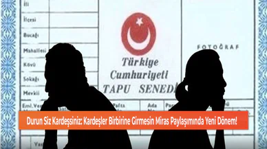 Durun Siz Kardeşsiniz: Kardeşler Birbirine Girmesin Miras Paylaşımında Yeni Dönem!