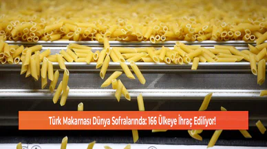 Türk Makarnası Dünya Sofralarında: 166 Ülkeye İhraç Ediliyor!
