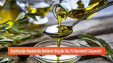 Zeytinyağı Hasatında Beklenti Büyük: Bu Yıl Bereketli Geçecek!