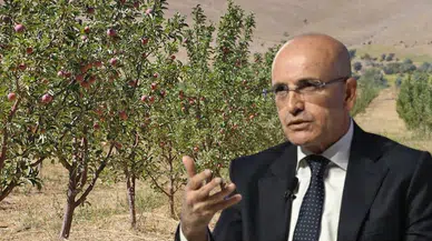 Meyve Bahçelerine Denetim: Kimler Bu Uygulamadan Etkilenecek?