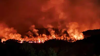 Alev Alev Türkiye! Sakarya'dan Bilecik'e Sıçradı, Eskişehir Duman Altında! Bakan Yumaklı 3 Büyük Felaketi Duyurdu!