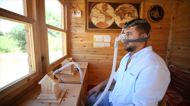 Arıların Şifalı Nefesi: Alerji ve Solunum Rahatsızlıklarında Doğal Destek