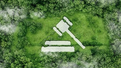 Tarihi Adım: Türkiye’de İklim Mücadelesinde Yeni Dönem Başladı