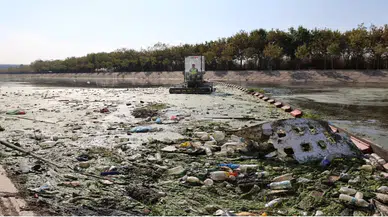 İzmit Körfezi’nin Temizliği New York’ta Büyük İlgi Gördü: Türkiye’nin Çevre Başarısı Dünyaya Tanıtıldı