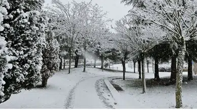 Kocaeli'ne Kar Yağışı Geliyor: Uzmanlar Tarih Verdi!