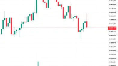 Bitcoin Destekli Hayat Sigortası Yükselişte