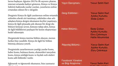 Dünya Genelinde PHP Sorunu