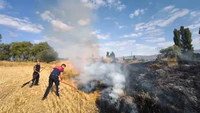 Sivas'ta Kadınların Halay Rekoru