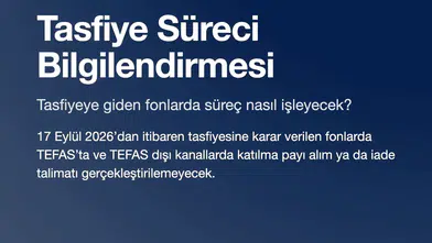 Fon tasfiyesi sürecine ilişkin gelişmeler
