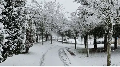 Kocaeli'ne Kar Yağışı Geliyor: Uzmanlar Tarih Verdi!