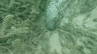 Sapanca Gölü’nde Gizemli Kabarcıklar Korkuttu: Deprem Endişesi Büyüyor