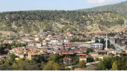 Sakarya'nın En Fakir İlçesi Hangisi?