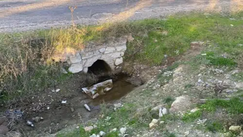 Çanakkale’de Korkunç Olay: Boş Arazide Yeni Doğmuş Bebek Cesedi Bulundu