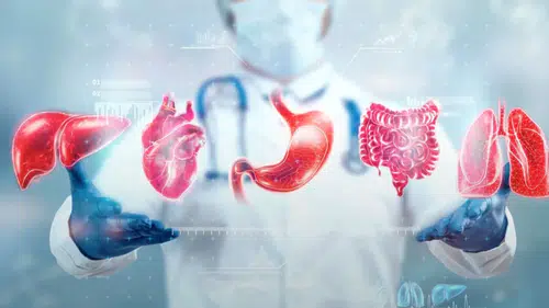 Gerçek Yaşınız Kimliğinizde Yazmıyor: Organların Biyolojik Yaşı Sağlığın Şifresini Veriyor