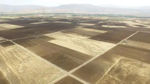 Türkiye’de Tarım Alarm Veriyor: Son 22 Yılda Ankara Büyüklüğünde Arazi Kaybedildi