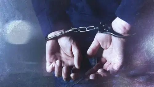 Neda Şahin kimdir, neden gözaltına alındı? Sosyal medya fenomeni Neda Şahin tutuklandı mı?