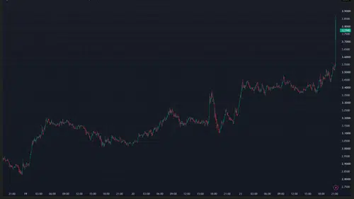 Altcoin Alımında Balina Harekete Geçti
