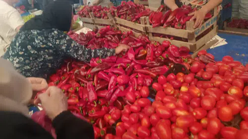 Oflu Hoca’nın Şifresi filmi hakkında merak edilenler