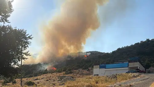Kaş'ta Orman Yangını: Ekipler Seferber Edildi
