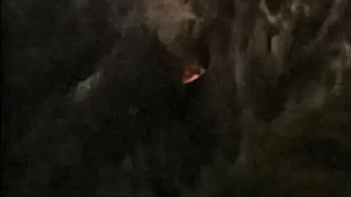 Araç alacaklar dikkat!