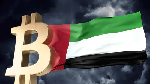 Abu Dabi Fonları Bitcoin Pozisyonlarını Açıkladı