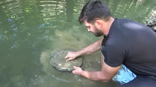 X Kullanıcıları Erişim Sorunu Yaşıyor