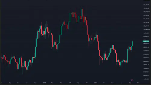Kripto Piyasasında Yükseliş Dönemi Başladı