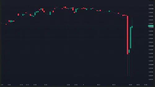 Binance'te İşlem Kapatma Duyurusu: VELO Dalgalandı!