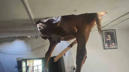 Engelli Vatandaşın Darp Edilmesi Olayında Yeni Gelişmeler