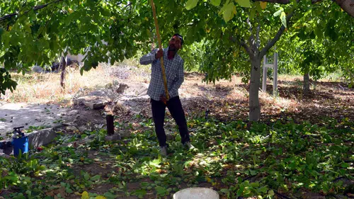 Turgutlu'daki Silahlı Saldırı Hakkında Gelişmeler