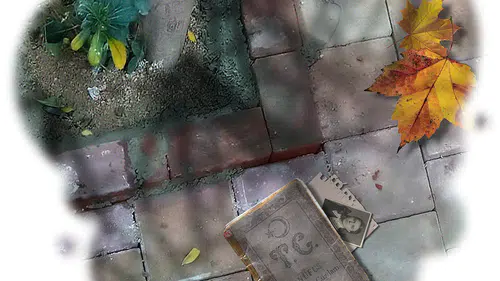 İran'da Eğitim Krizi Derinleşiyor