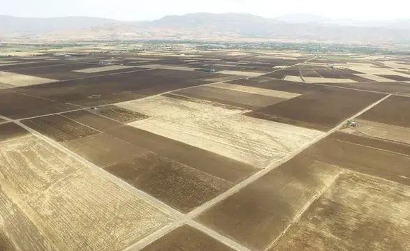 Türkiye’de Tarım Alarm Veriyor: Son 22 Yılda Ankara Büyüklüğünde Arazi Kaybedildi