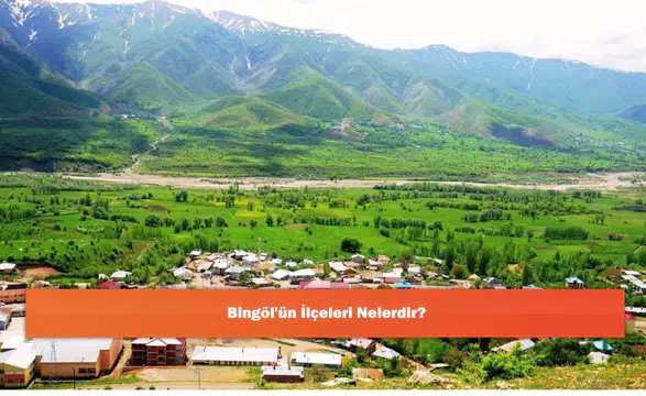 Bingöl'ün İlçeleri Nelerdir?
