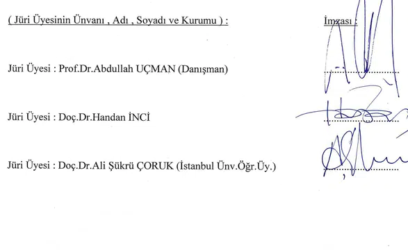 Karahantepe'deki Şaşırtıcı Heykel Keşfi