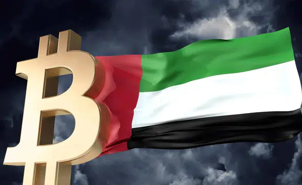 Abu Dabi Fonları Bitcoin Pozisyonlarını Açıkladı