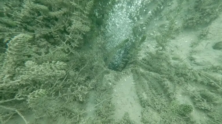 Sapanca Gölü’nde Gizemli Kabarcıklar Korkuttu: Deprem Endişesi Büyüyor