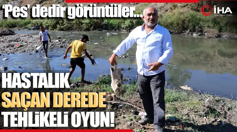 Kurbağaların Sırları: Yeni Bakteri Tümörlere Karşı Etkili Bir Silah Olabilir