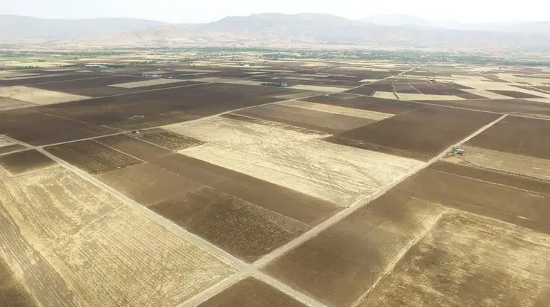 Türkiye’de Tarım Alarm Veriyor: Son 22 Yılda Ankara Büyüklüğünde Arazi Kaybedildi