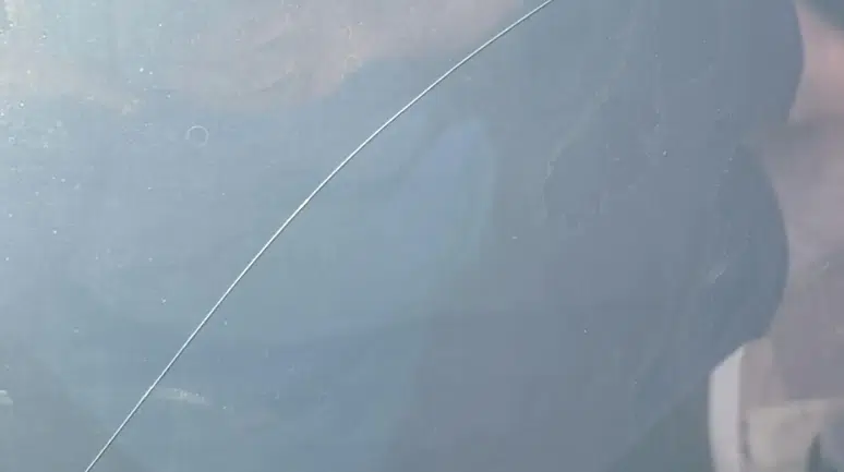 Tesla Model Y Standard: Cam Tavanın Olmamasının Arkasındaki Sebep Nedir?