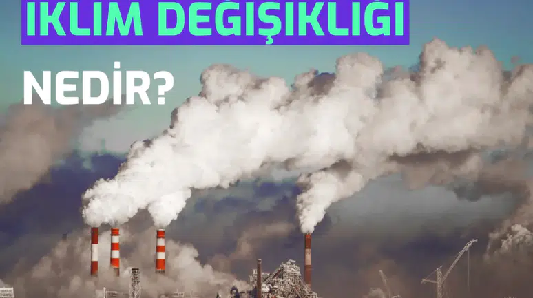 Amip Tehditi: İklim Değişikliği Su Sistemlerini Tehdit Ediyor