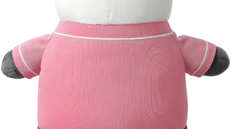 Hershey Bears Taraftarlarından Büyük Dayanışma: 81 Bin 796 Peluş Oyuncak Toplandı