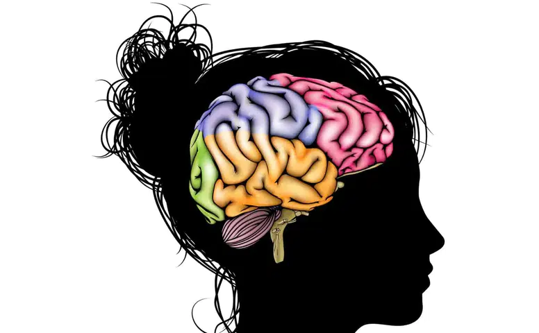 Bilim Dünyasını Şaşırtan Bulgular: Ergenlik Sandığımızdan Çok Daha Uzun Sürüyor! Araştırmaya Göre 32 Yaşına Kadar Devam Ediyor