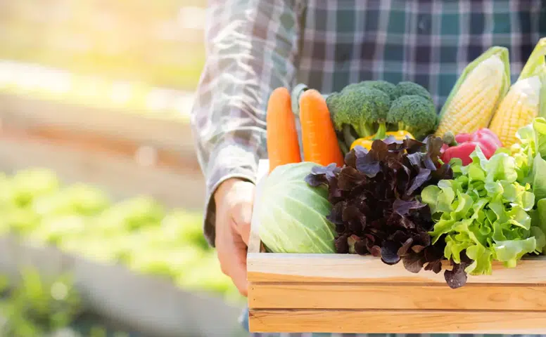 2025 Beslenmede Ezberleri Bozdu: Ultra İşlenmiş Gıdalardan Bağırsak Sağlığına Yeni Trendler Hayatı Değiştiriyor