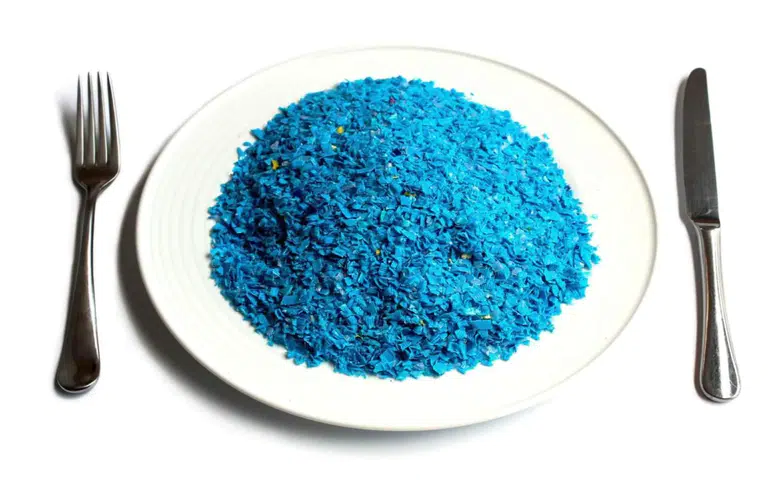 Mikroplastik Yükü Sandığımızdan Çok Daha Ağır