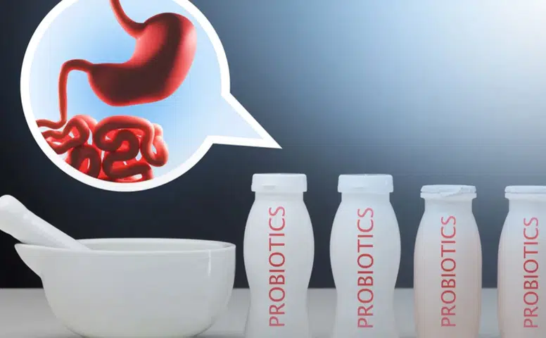 Bağışıklığın Gücü Bağırsaklarda Saklı: Kış Hastalıklarına Karşı Doğal Kalkan Probiyotikler