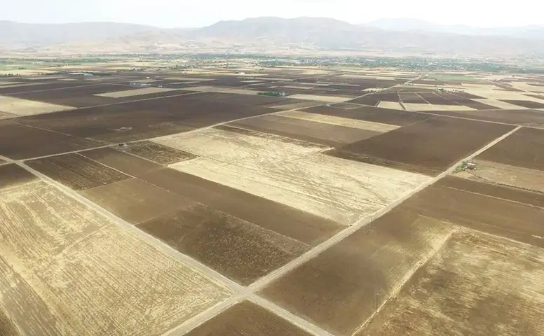 Türkiye’de Tarım Alarm Veriyor: Son 22 Yılda Ankara Büyüklüğünde Arazi Kaybedildi