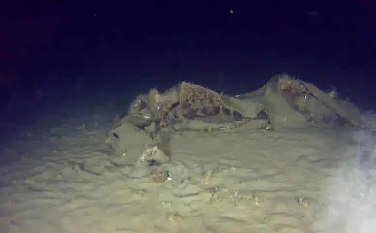 Marmara’nın Derinliklerinden Gelen İzler: 50 Yıl Sonra THY Uçağına Ait Yeni Parçalar Tespit Edildi